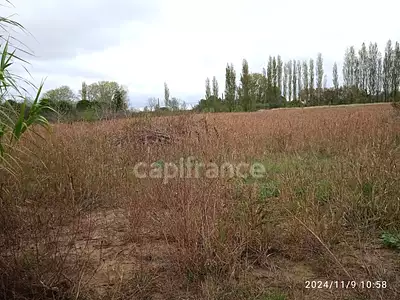 Terrain, 6 250 m²