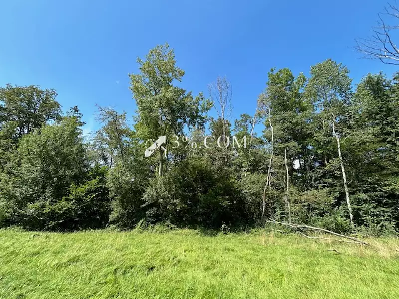 Terrain, 11 407 m²