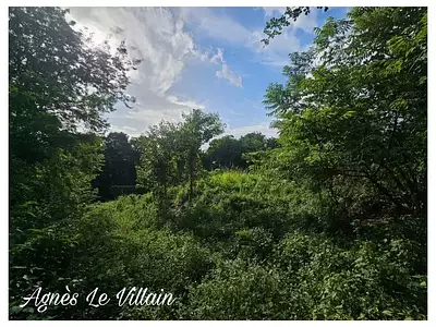 Terrain, 2 983 m²