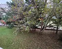 Appartement, 85,04 m²