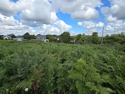 Terrain, 1 437 m²