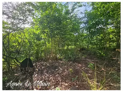 Terrain, 2 983 m²