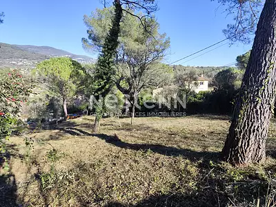 Terrain, 1 323 m²