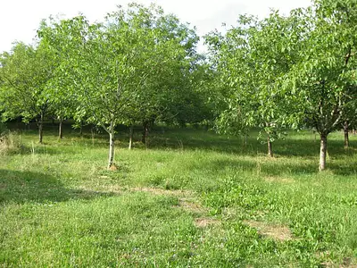 Terrain, 2 000 m²