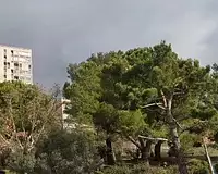 Appartement, 82,3 m²