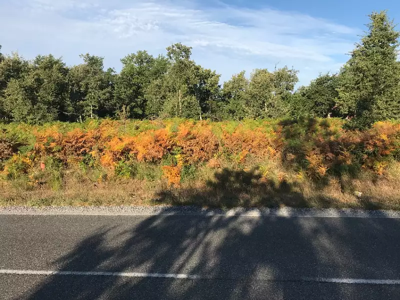 Terrain à bâtir, 746 m²