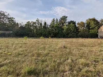 Terrain, 1 135 m²