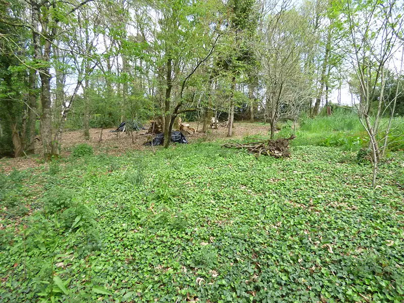 Terrain, 2 130 m²