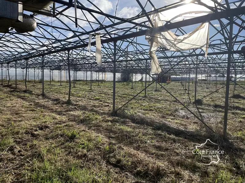 Terrain, 130 000 m²