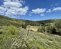 Terrain, 16 028 m²