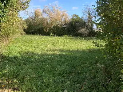 Terrain, 1 250 m²