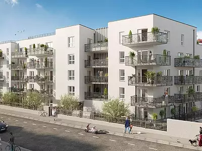 PSLA - VIVA CITY