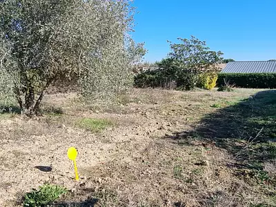 Terrain, 767 m²