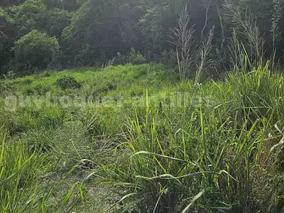 Terrain, 2 924 m²