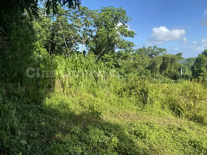 Terrain, 2 280 m²
