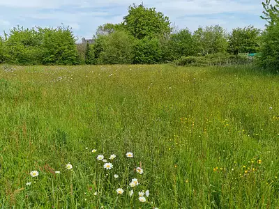 Terrain, 1 980 m²