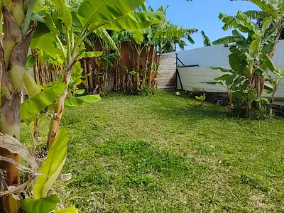 Appartement, 80,5 m²