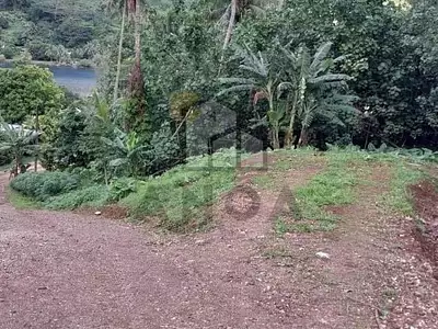 Terrain, 1 000 m²