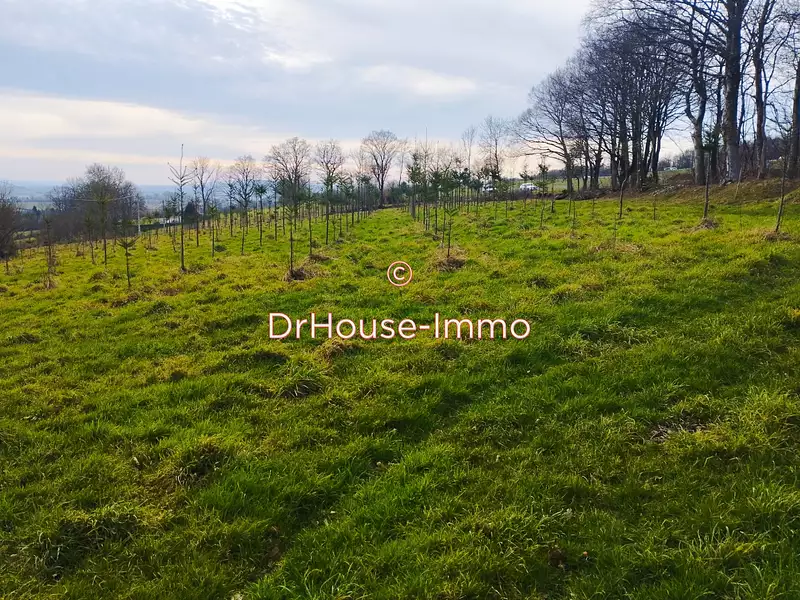 Terrain, 36 914 m²