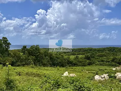 Terrain, 706 m²
