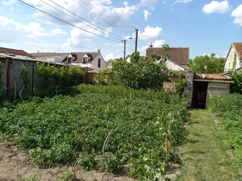 Terrain, 500 m²