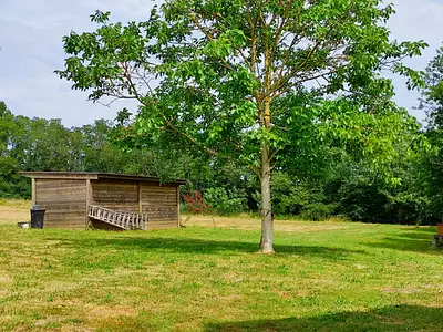 Maison, 55 m²