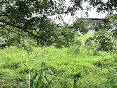 Terrain, 922 m²