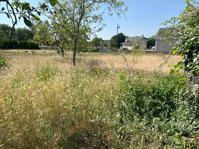 Maison, 75 m²