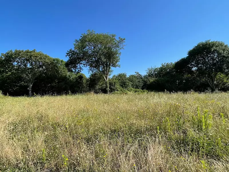 Terrain, 401 m²