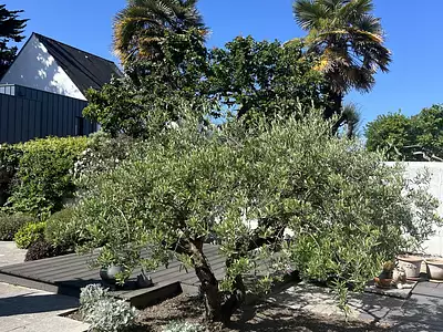 Maison, 139 m²