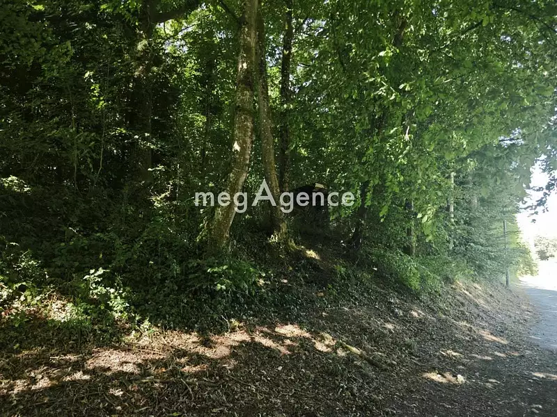 Terrain, 3 260 m²