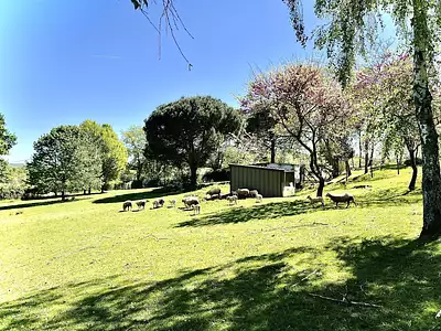 Maison, 491 m²