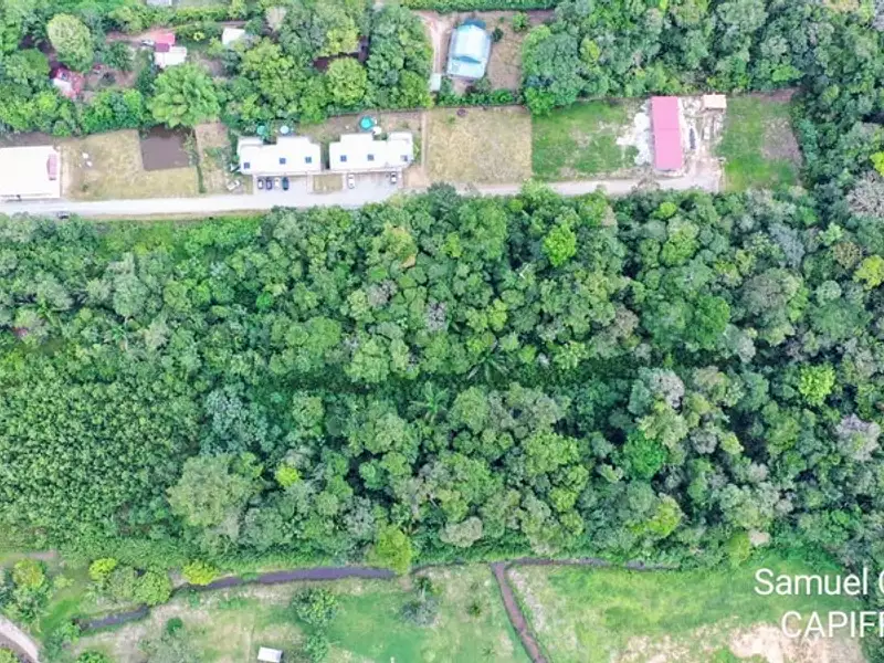 Terrain, 15 000 m²