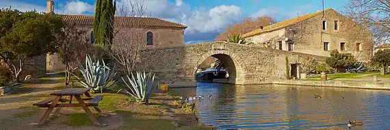 M Immobilier