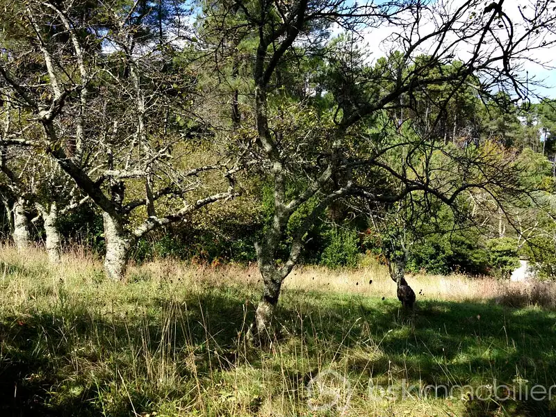 Terrain, 4 806 m²