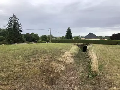 Terrain