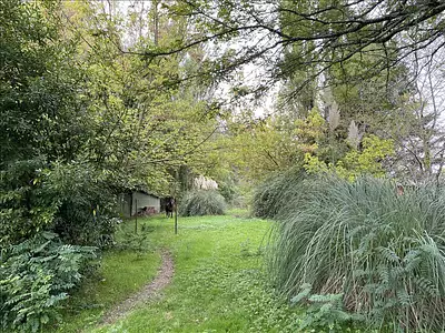 Maison, 50 m²