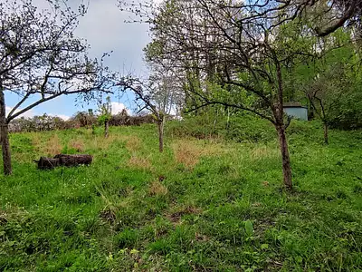 Terrain, 6 521 m²
