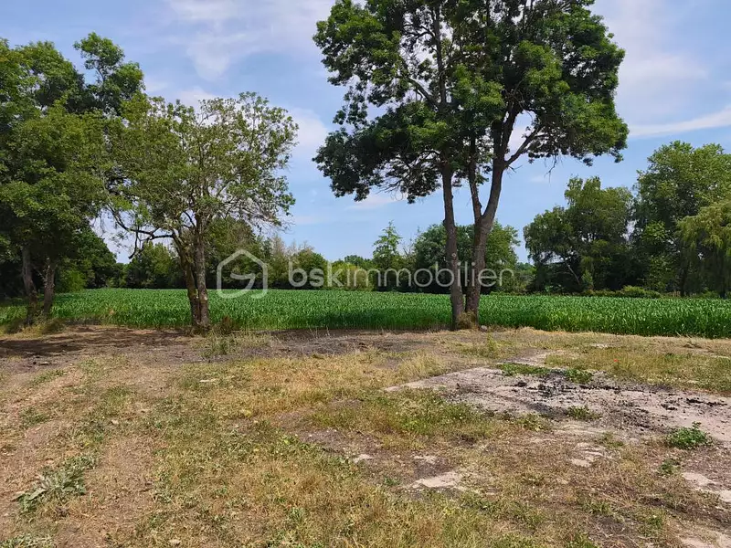 Maison, 315 m²