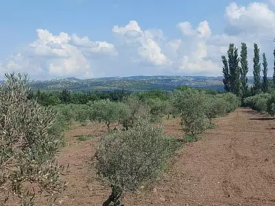 Maison, 380 m²