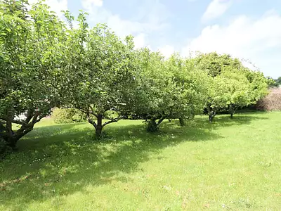 Maison, 400 m²