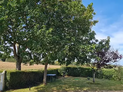 Maison, 36 m²