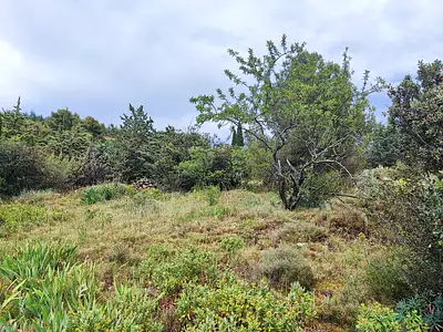 Terrain, 1 013 m²