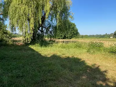 Maison, 300 m²