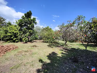 Terrain, 5 490 m²