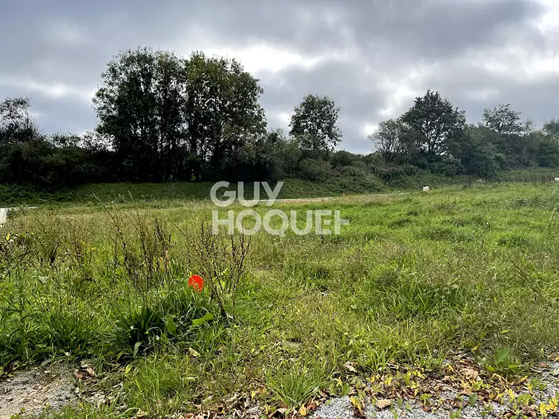 Terrain, 320 m²