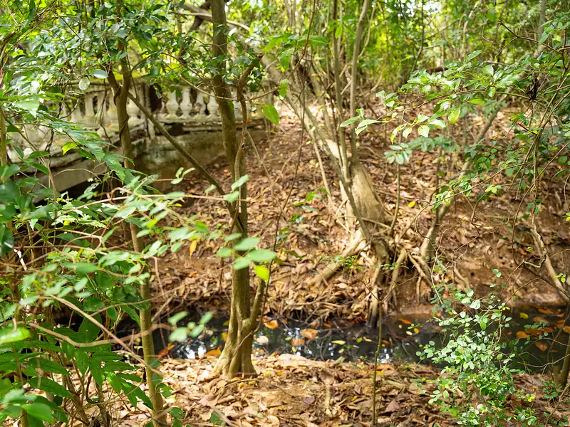 Terrain, 10 000 m²