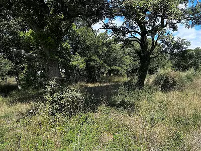 Terrain, 1 200 m²