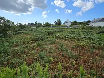 Terrain, 1 437 m²