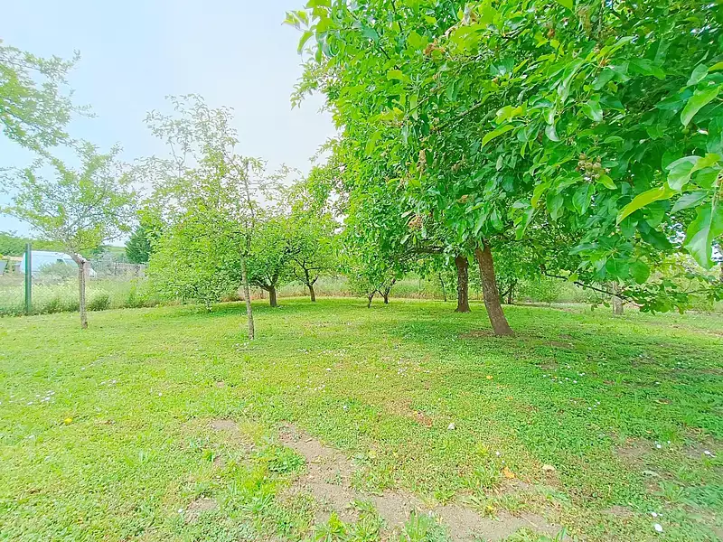 Maison, 240 m²